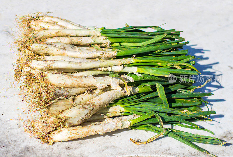 Calçot calçots calçotada ce选票洋葱西班牙孤立的白色加泰罗尼亚